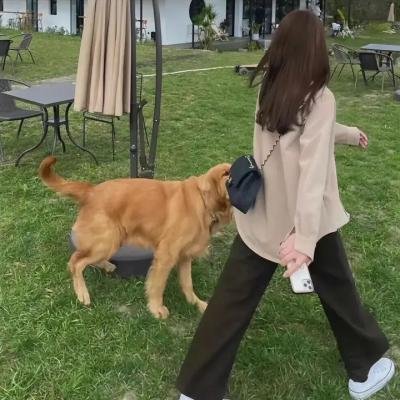 冬天的骨头